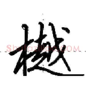 樾