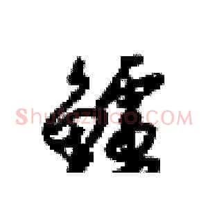 鲈