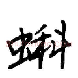 蝌