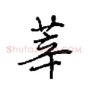 莘