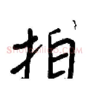 拍