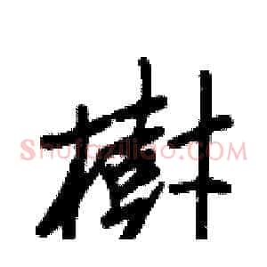 樹