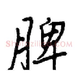 脾