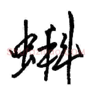 蝌