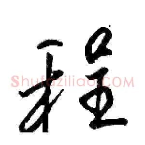 程