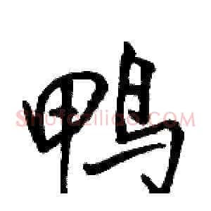 鸭