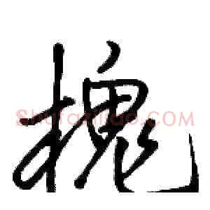槐