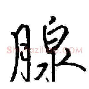 腺