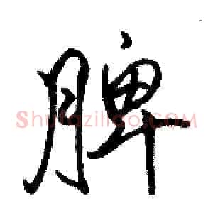 脾