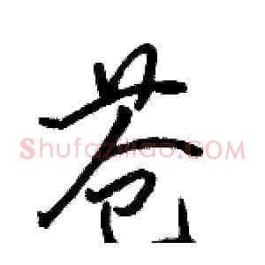 苍