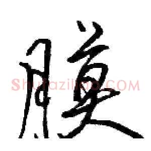膜