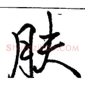 肤
