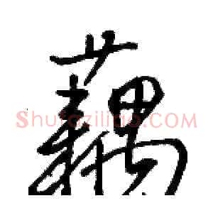 藕