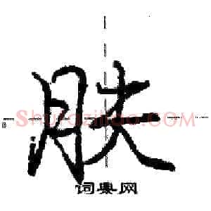 肤