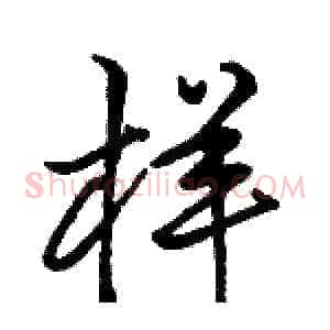样
