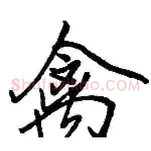 禽
