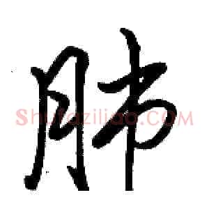 肺