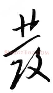 发