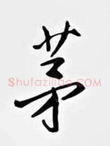 茅