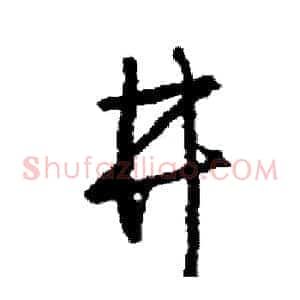 井