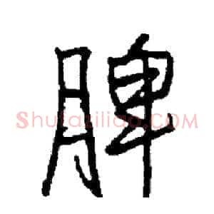 脾