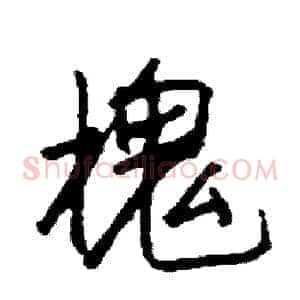 槐