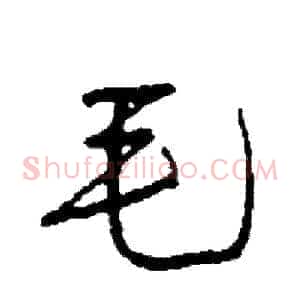 毛