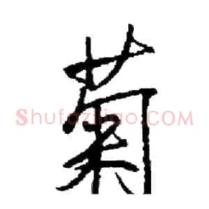 菊