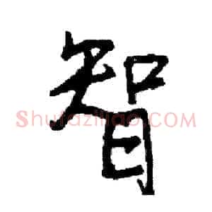 智
