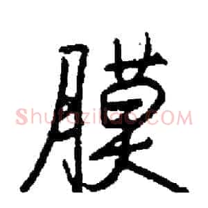 膜