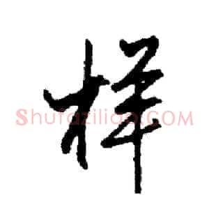 样