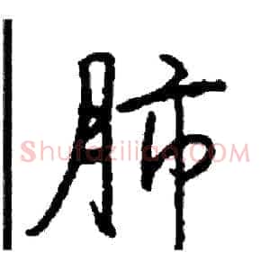 肺
