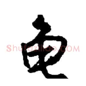龟