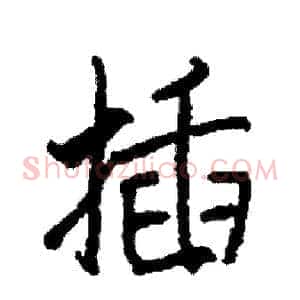 插