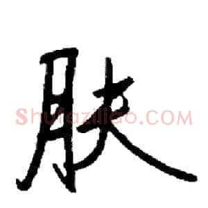 肤