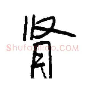 肾