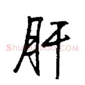 肝