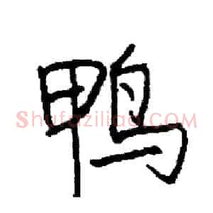 鸭