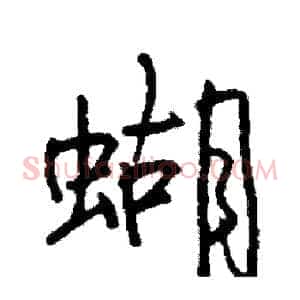 蝴