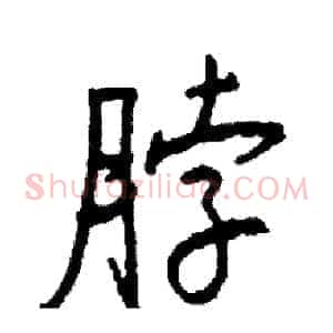 脖