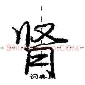 肾