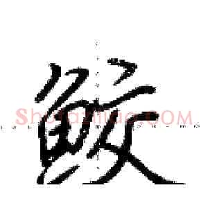 鲛
