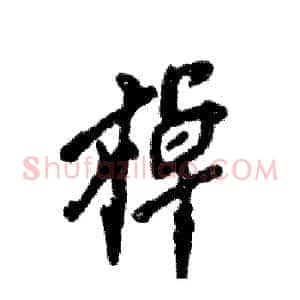 棹