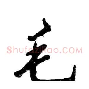 毛
