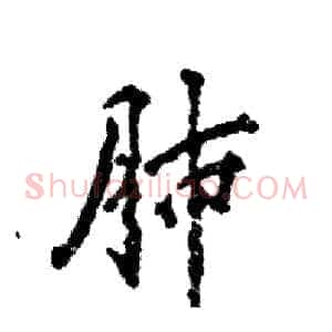 肺