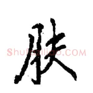 肤