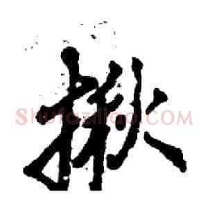 揪