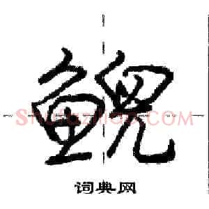 鲵