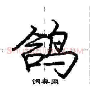 鸽