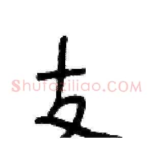 支